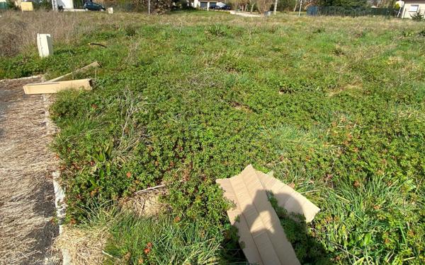 Terrain à vendre    La Ville-Dieu-du-Temple