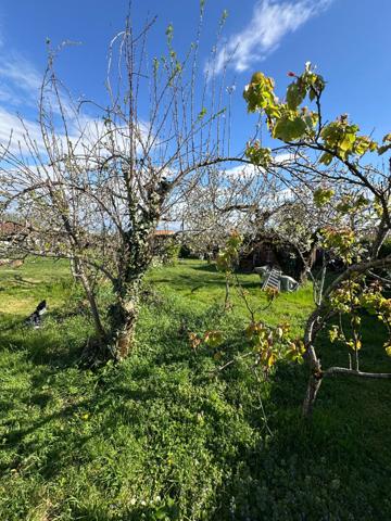 Terrain plat Miribel - Proche commodités