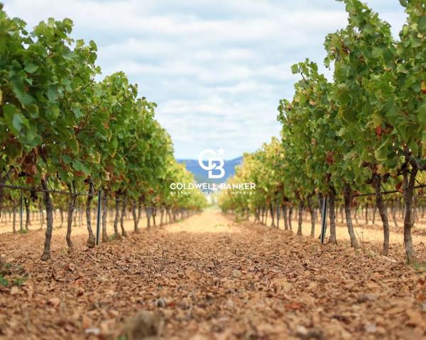 Propriété viticole 12 pièces à vendre Cuers - 83390 / Réf: 259 EB