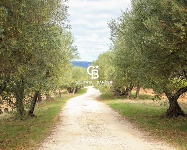 Propriété viticole 12 pièces à vendre Cuers - 83390 / Réf: 259 EB