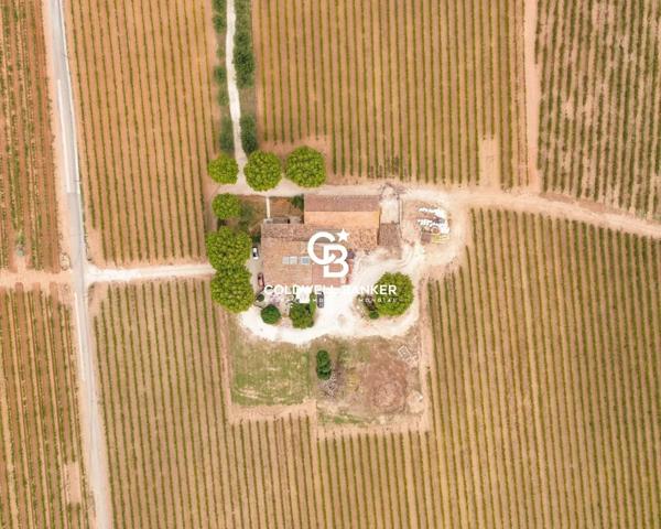 Propriété viticole 12 pièces à vendre Cuers - 83390 / Réf: 259 EB