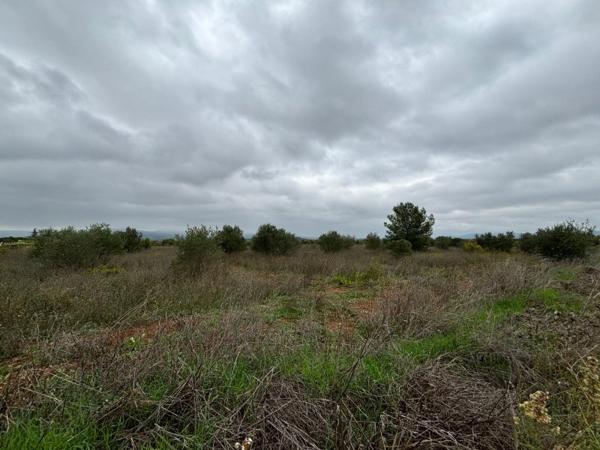 Vente / Terrain agricole à Clermont-l'Hérault (34800)