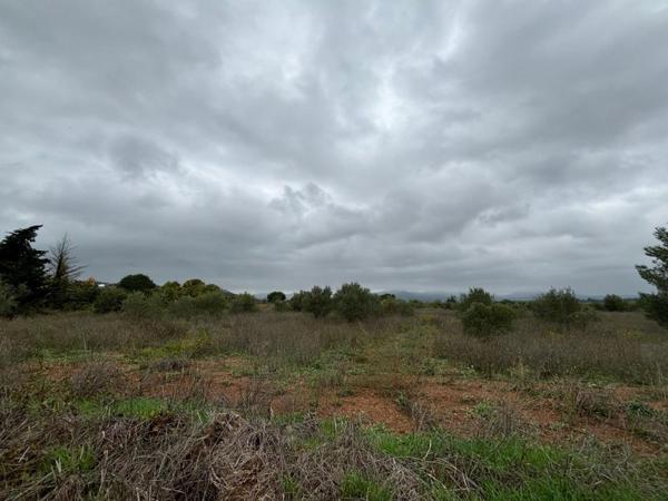 Vente / Terrain agricole à Clermont-l'Hérault (34800)