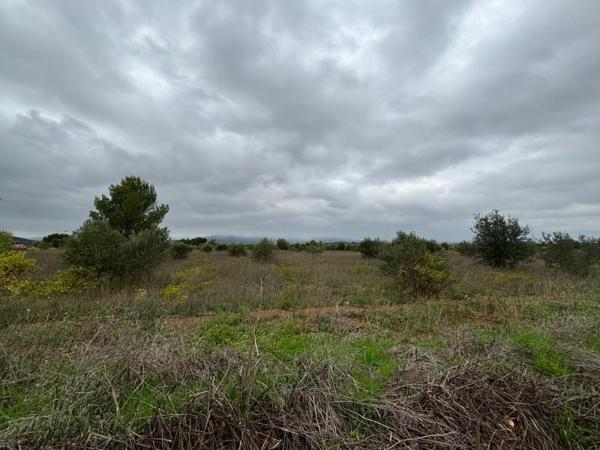 Vente / Terrain agricole à Clermont-l'Hérault (34800)