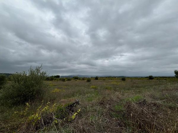 Vente / Terrain agricole à Clermont-l'Hérault (34800)