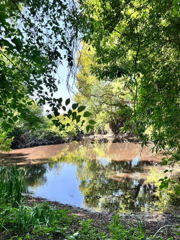 Propriété avec moulin, Charme et potentiel exceptionnel