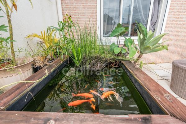 Rare à Saint André – Maison familiale + dépendance indépendante avec piscine