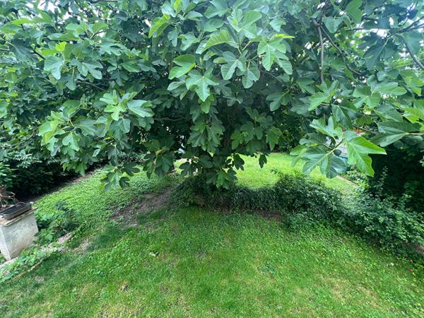 Maison à vendre à Mitry Mory - 5 chambres, 140 m²