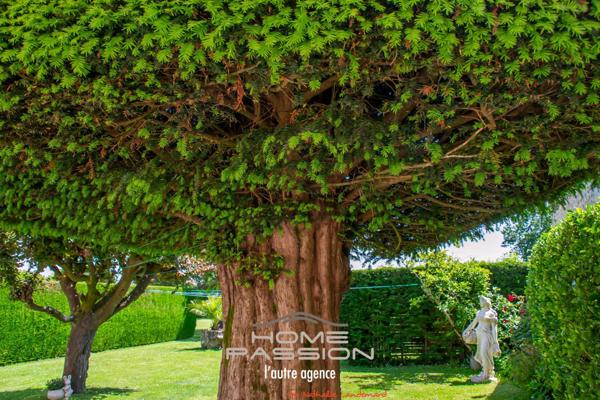 MEURSAC  ANCIENNE DISTILLERIE DES ANNEES 30, SA PROPRIETE + 6 GITES