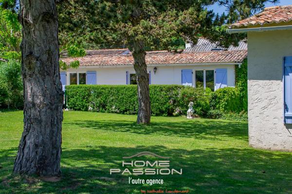 MEURSAC  ANCIENNE DISTILLERIE DES ANNEES 30, SA PROPRIETE + 6 GITES