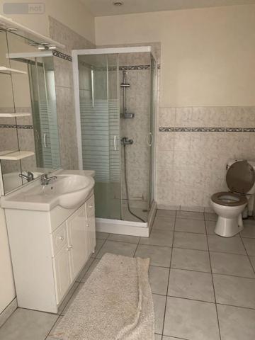 Maison à vendre à Clion dans l'Indre (36700), ref : 1048196