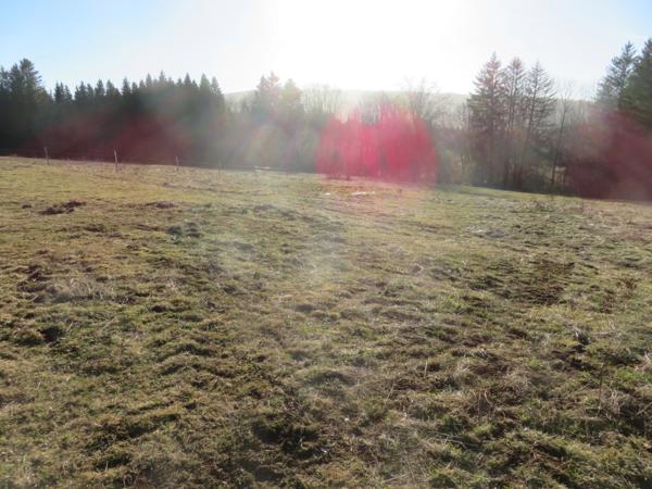 Dpt Ain (01), à vendre HAUTEVILLE LOMPNES terrain