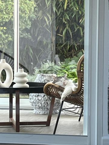 Maison 5 pièce(s) 4 chambre(s) 148 m²