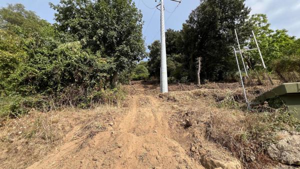 A SAISIR TERRAIN CONSTRUCTIBLE - OLMICCIA