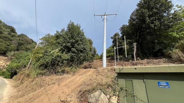 A SAISIR TERRAIN CONSTRUCTIBLE - OLMICCIA