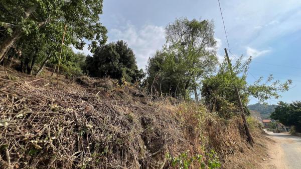 A SAISIR TERRAIN CONSTRUCTIBLE - OLMICCIA