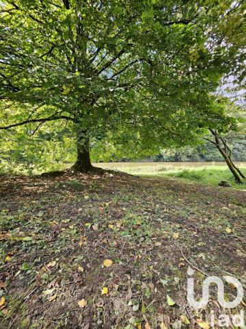 Maison à vendre 10 pièces 316 m² Les Hautes-Rivières