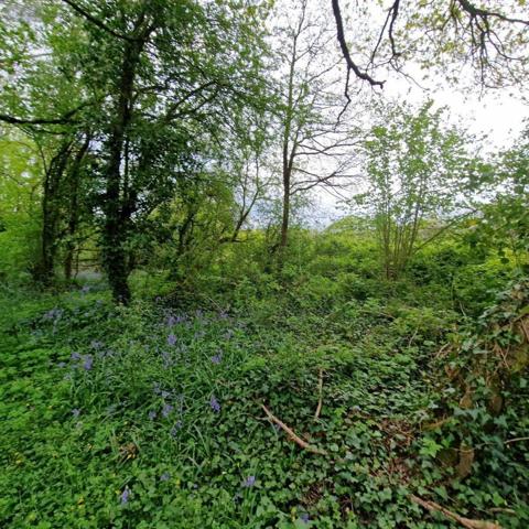 Maison à vendre à Hardanges en Mayenne (53640), ref : 12725/726