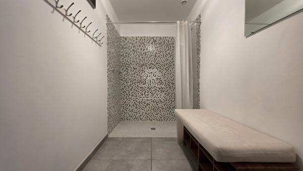 Eauze (32800) APPARTEMENT + SALLE DE DANSE