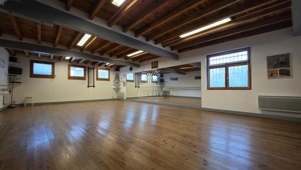 Eauze (32800) APPARTEMENT + SALLE DE DANSE