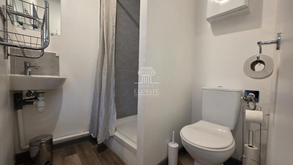 Eauze (32800) APPARTEMENT + SALLE DE DANSE