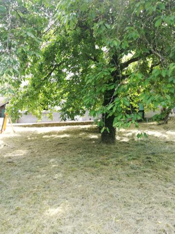 Achat maison Mailly-la-Ville - 4 pièce(s) - 121 m² - 144 000 €