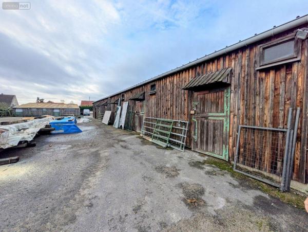 Entrepôt à vendre à Bourbourg dans le Nord (59630), ref : W4023