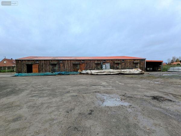 Entrepôt à vendre à Bourbourg dans le Nord (59630), ref : W4023
