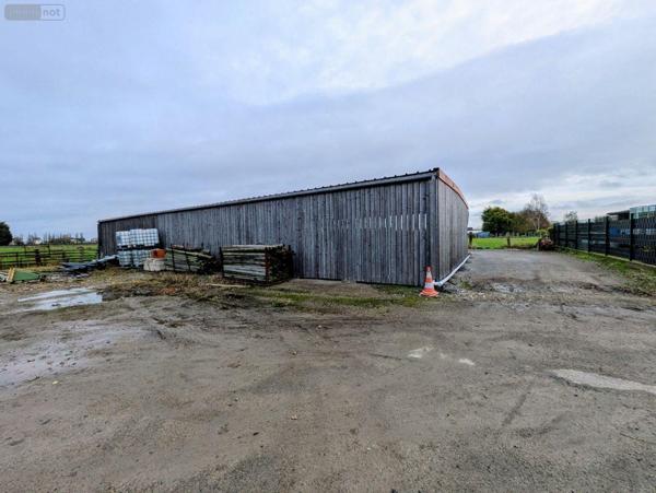Entrepôt à vendre à Bourbourg dans le Nord (59630), ref : W4023