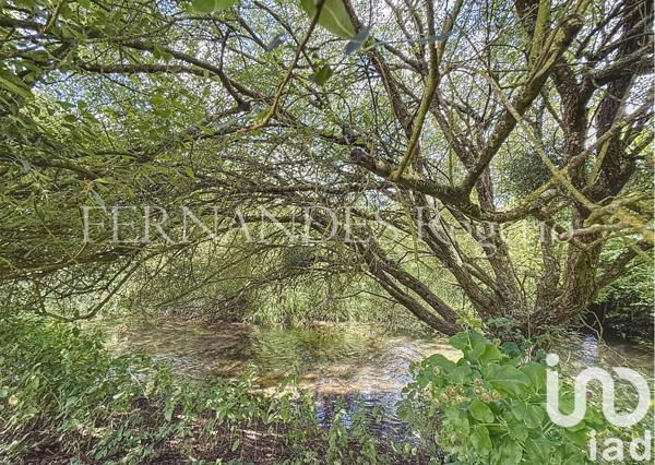 Maison à vendre 8 pièces 196 m² Dadonville