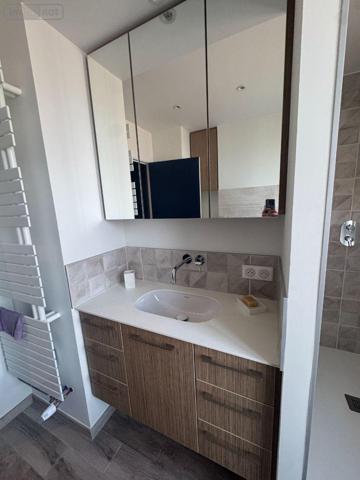 Appartement rénové à vendre à Troyes dans l'Aube (10000), ref : 10100415   
raymond poincarre