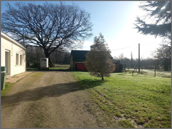 Idéal propriétaire d'animaux