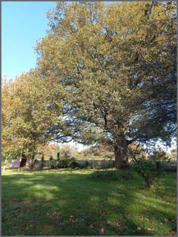 Idéal propriétaire d'animaux