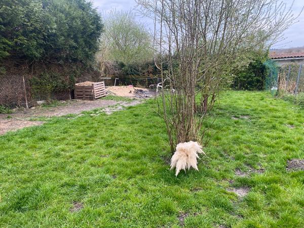 Secteur calme,DANIZY