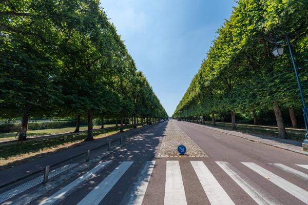 Appartement 3 pièces - 64 m²