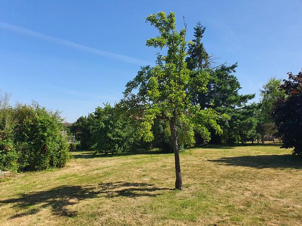 MAISON À VENDRE À SAINT AIGNAN