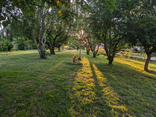 Vente / Terrain constructible