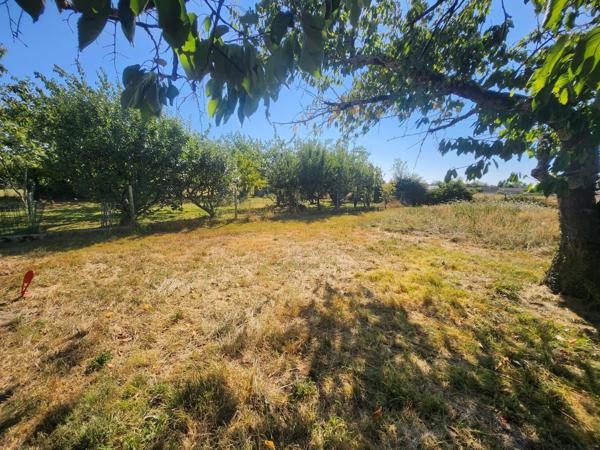 Vente / Terrain constructible