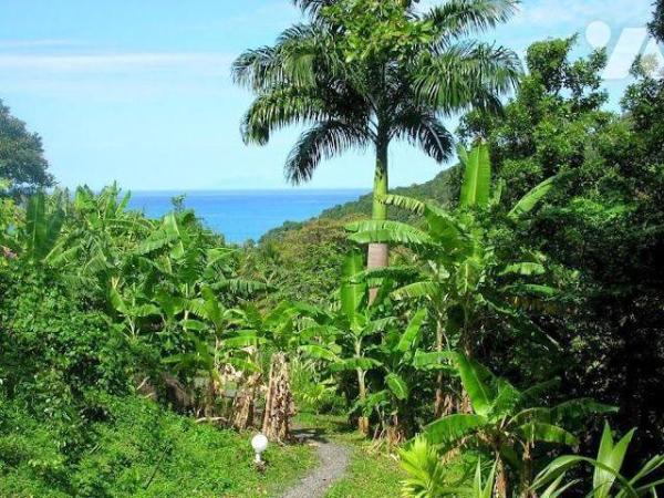 Magnifique propriété à Vendre à Deshaies (97126) en Guadeloupe.
Ce bien comprend une villa T5 ...
