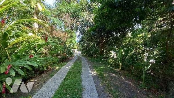 Magnifique propriété à Vendre à Deshaies (97126) en Guadeloupe.
Ce bien comprend une villa T5 ...