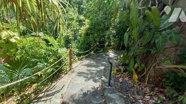 Magnifique propriété à Vendre à Deshaies (97126) en Guadeloupe.
Ce bien comprend une villa T5 ...