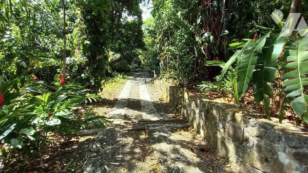 Magnifique propriété à Vendre à Deshaies (97126) en Guadeloupe.
Ce bien comprend une villa T5 ...