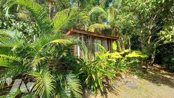 Magnifique propriété à Vendre à Deshaies (97126) en Guadeloupe.
Ce bien comprend une villa T5 ...