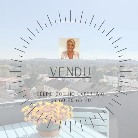 Verrières-le-Buisson (91370) Appartement avec très belle vue