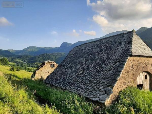 Maison à vendre à Le Falgoux dans le Cantal (15380), ref : 15060/1153