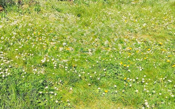 Maison à vendre    5 pièces • 90,04 m2 Le Bourget