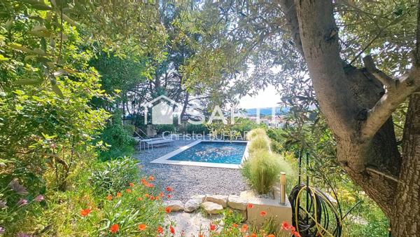 Restanques, Oliviers, baignade et  Farniente !