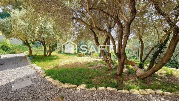 Restanques, Oliviers, baignade et  Farniente !