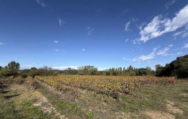 Vente Terrain Calvisson   
