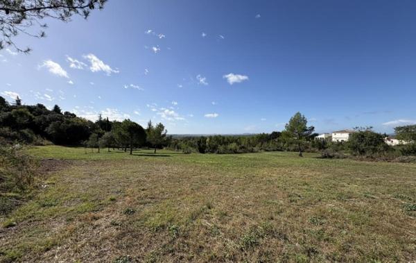 Vente Terrain Calvisson   